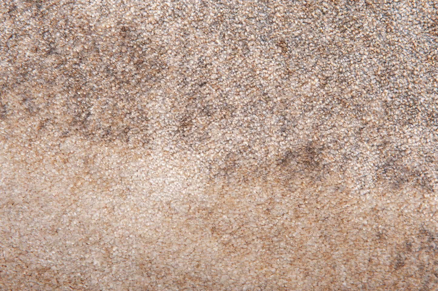Brush Ovale 13 - Chalk Beige